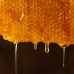 Bester deutscher Honig, den Sie probieren sollten – Von Experten getestet
